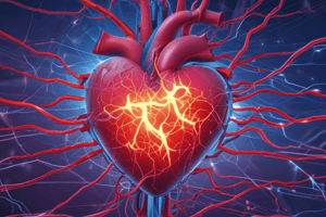 Ch 13 - Part 1  Heart Electrical Conduction System