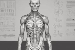 Anatomy and Physiology Glossary: Muscles, Bones, and Veins