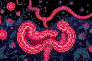 Activité 5 : Les étapes de la digestion