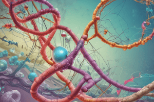 Nucleic Acids: Structure and Function