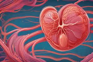 Oxidative Metabolism in Cardiac Muscle