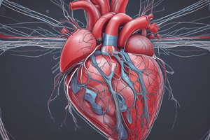 Heart Structure and Function