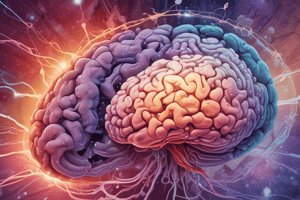 Pilocytic Astrocytoma Characteristics