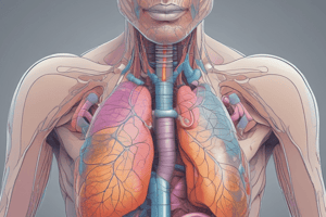 Pulmonary System Functions