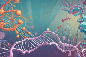 Protein Synthesis Process