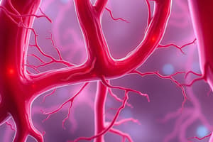 Blood Vessels, Circulation, Lymphatics