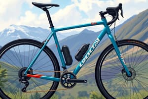 ORCA M30ILTD PWR Bicycle Quiz