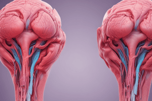 Human Reproductive System and Formation of Twins Quiz