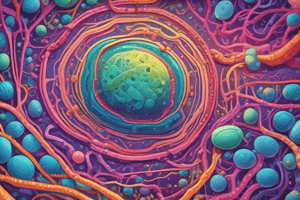 Prokaryotic Plasma Membrane Structure and Function