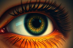 Ophthalmology Complications Quiz