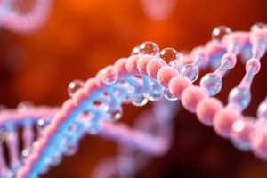 Chinoloni: Inibitori della Replicazione del DNA