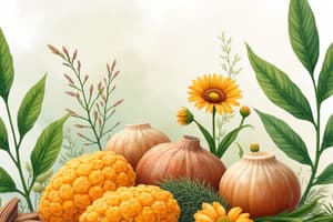 Resins: Pharmacognosy and Plant Chemistry