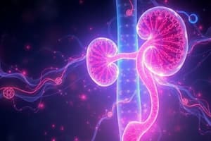 Alterations of Renal and Urinary Tract Function