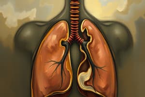 Fisiología Pulmonar: Elasticidad y Volúmenes