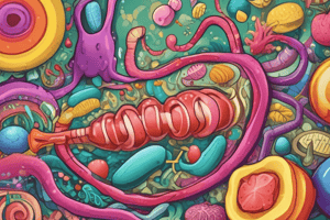 Lipid Digestion and Absorption