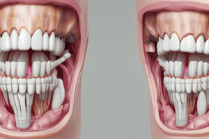 Dentistry: Root Morphology of Human Dentition