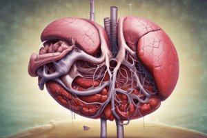 Liver Function and Bile Production