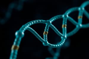 Nucleotide Structure and Synthesis