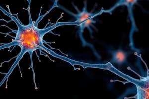 Psicología: Sistema Nervioso y Neuronas