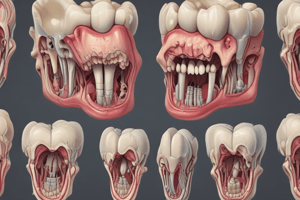 Tooth Development and Odontoblasts