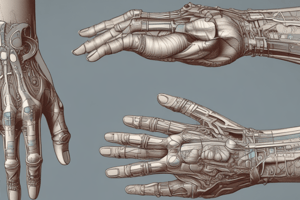 Wrist Anatomy Quiz