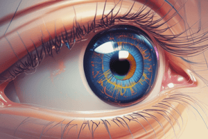 Contact Lens Manufacturing and Regulations