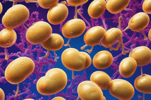 Staphylococcus Aureus Identification Quiz