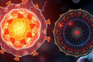 Cell Differentiation and Morphology