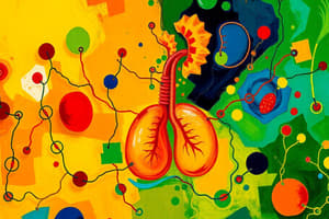 Cellular Respiration Overview