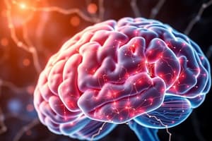 Neuroscience Projects and Concepts