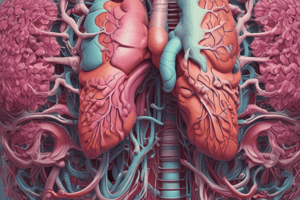 PRAC QUIZ RESPIRATORY SYSTEM