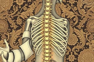 Spine Examination Overview