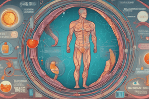 Glucose and Insulin Functions in the Body