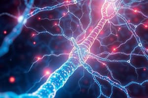 Nervous System Functions and Signals