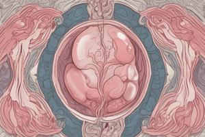 Female Reproductive System and Gynecologic Emergencies