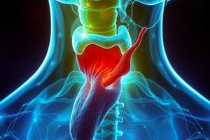 Endocrinology Quiz: Pituitary Function