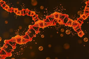 Biochemistry Quiz on Nucleotides and Amino Acids