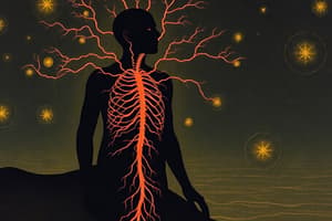 Autonomic Nervous System Overview