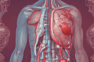 Respiratory and Cardiovascular Anatomy and Physiology