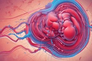 Diffusion Conductance Formula in Pulmonary Physiology