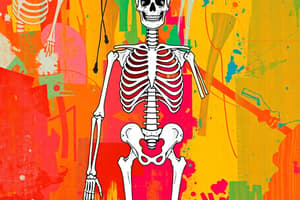 The Human Skeleton and Bone Types