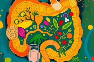 Nutrition and Gut Microbiota Quiz