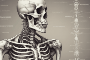 Anatomy of Tibia Bone