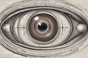 Optometry Standards for Patient Care