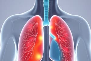 Respiratory System Overview