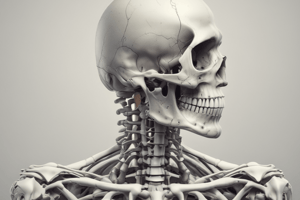 ANATOMY AND PHYSIOLOGY AXIAL AND APPENDICULAR