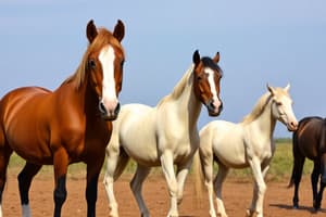 Domesticación del Caballo y su Impacto Cultural