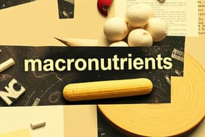 Nutrients and Macronutrients Quiz