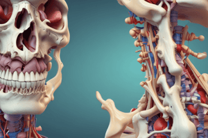 Bone Fractures Overview