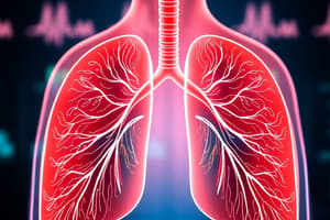 Respiratory System Lecture (L28)